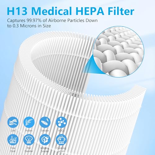 Image of 2 Packs HAP609 Replacement Filter Compatible with ECOSELF HAP609 Air Purifi-er for Home Large Room up to 1800 Ft, Main Filter
