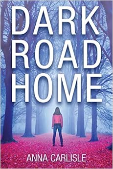 Dark Road Home: A Gin Sullivan Mystery book cover