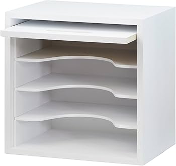 B5サイズ本棚　同人誌 Amazon.co.jp: 同人誌ラックR B5サイズ 扉付きタイプ 縦 横 収納 タテ