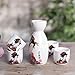 Lotocool Japanese Sake Set, 5 Pieces Sake Set Hand Painted Design Porcelain Pottery Traditional Ceramic Cups Crafts Wine Glasses (Orange)