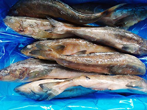 業務用 魚 - その他の魚介類の人気商品・通販・価格比較 - 価格.com