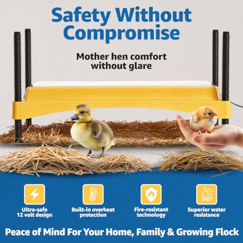 Couveuse pour poussins ajustable avec indicateur de sécurité Brinsea - 3