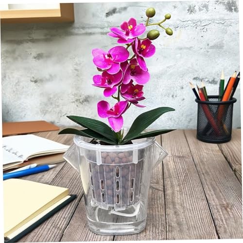 Pot à orchidées transparent avec trous de drainage et soucoupe