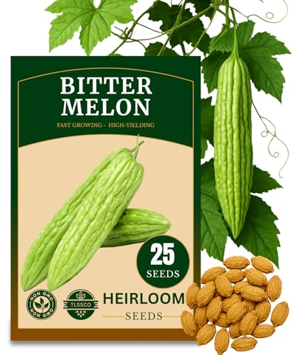 25+ USA Premium Bitter Melon Seeds for Planting (Bitter Gourd), Non-GMO Seeds – Up to 16 inches Fast Growing – High-Yielding, Extra Long, Authentic Flavor, Heirloom