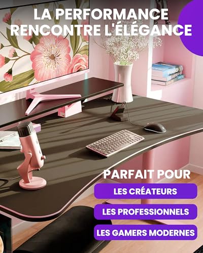 Support Moniteur Double Écran avec Cadre en Acier Robuste Arozzi