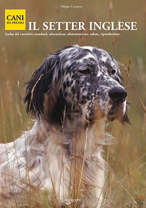  Il setter inglese