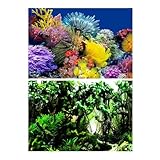 FJOADNVM Fondo Acuario Fondo de decoración for Acuario, Pintura for pecera, Paisaje, océano, Plantas Marinas, telón Fondo(Color3,40x60cm)