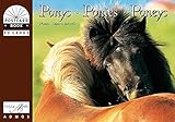 Ideal für postcrossing! Ponys /Ponies /Poneys: Postkartenbuch