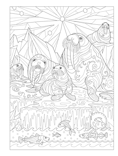 Creative Haven Fanciful Sea Life Coloring Book