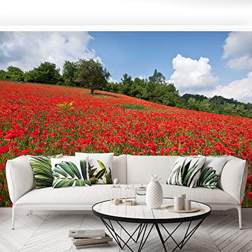 Papier peint champ de coquelicots pour rénover et protéger un mur - 5