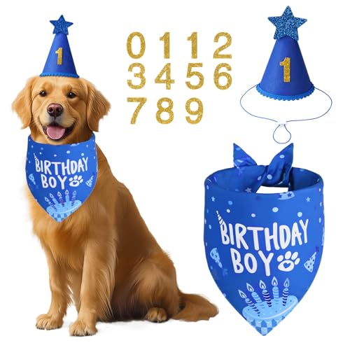 Agroon Dog Birthday Party Supplies Blue Dog Birthday Set with Hat Bandana Numbers for Large Medium Boy Pets Puppy