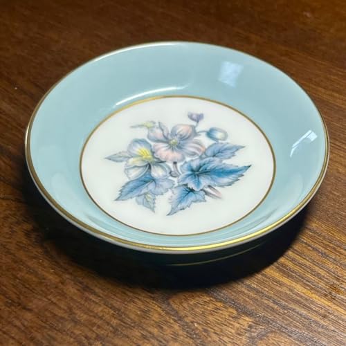 ロイヤルウースター 皿」の人気商品一覧 | 安い商品を通販サイトから