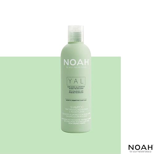 Miniatura 2 de Noah Hair  Champú y acondicionador Yal Hydrating con ácido hialurónico  Cuidado del cabello para belleza natural  250 ml cada uno