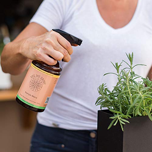 Nutrição Básica | Pronto uso | 500ml