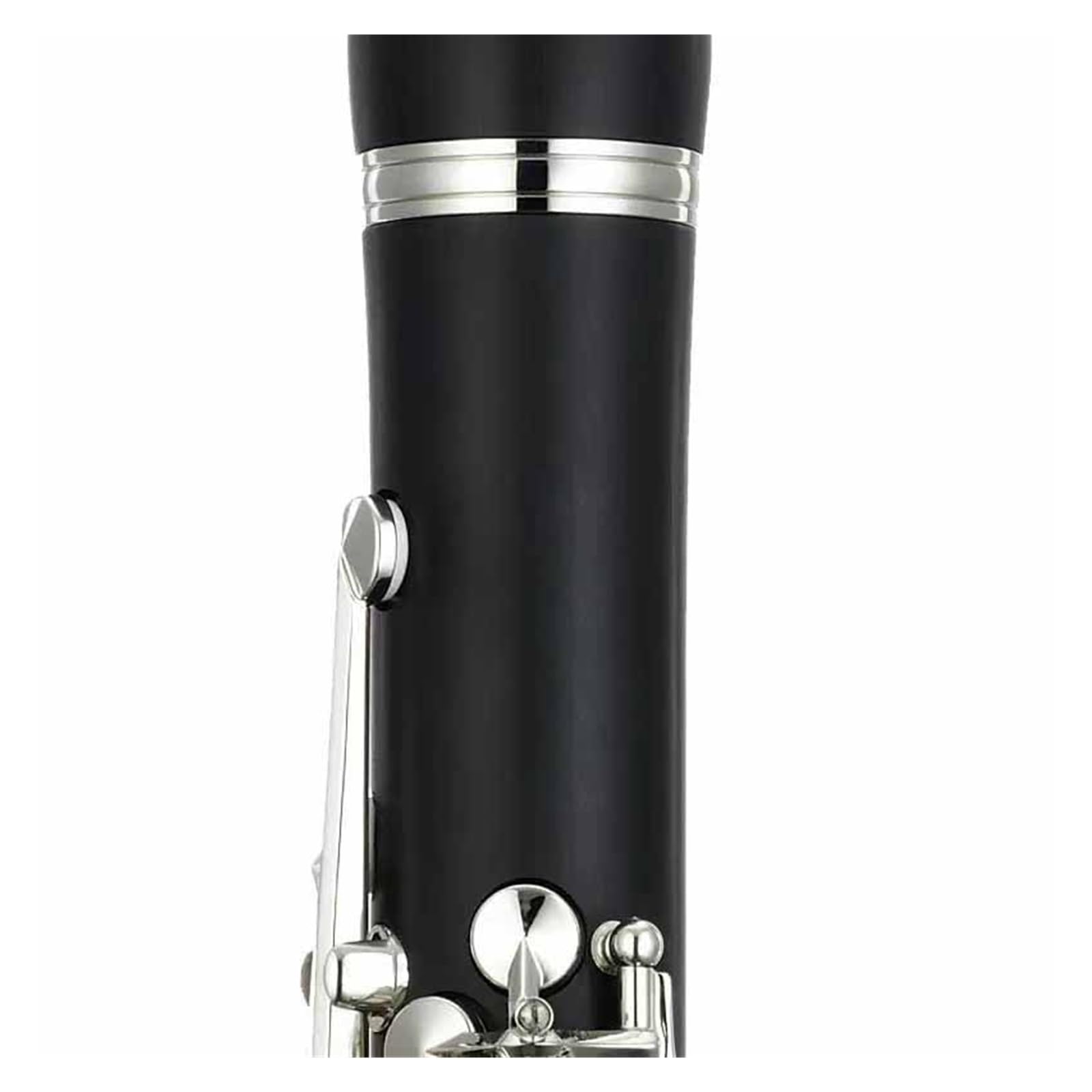 Clarinetto per Principianti Esame di Ammissione al Clarinetto per Suonatori di Strumenti Musicali Professionisti
