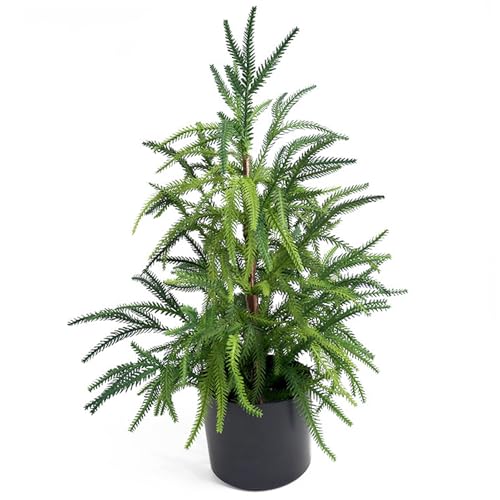 Norfolk Pine, Norfolk Pine Tree, 22 Pulgadas de Aspecto Natural Tallos, Navidad de plástico, Navidad, Plantas Decorativas en macetas para el Porche Delantero, Artificial