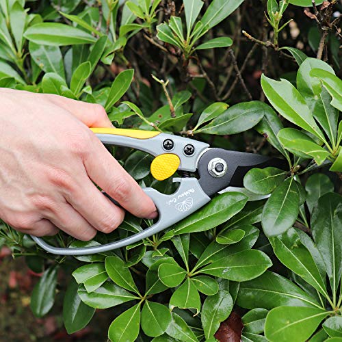 Rainbow Craft 8'' Bypass Pruner Shear, Rose Cutters, Herbs Scissors, Plant Trimming Shears for Garden&Lawn - Orange Color - Thumbnail 6
