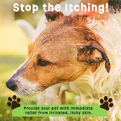 Ovante Dogs Plus Vitamin C Dog Shampoo | All Natural Dermatitis, Demodex Mange, & Hot Spot Treatment for Dogs | Fast and Effective Itch Relief (6 oz)