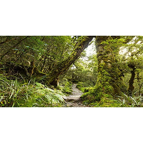 180x61cm Wasserfall Terrarium Hintergrund - Tropischer Dschungel Look