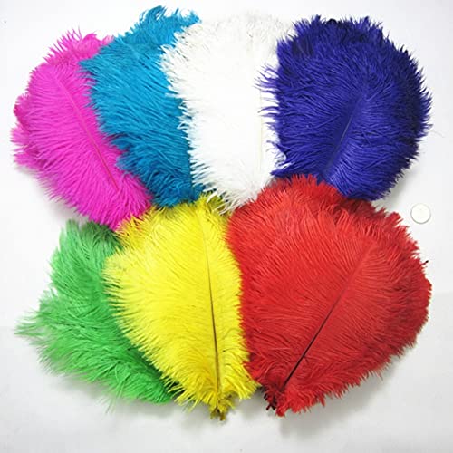 Plume d'autruche artisanat DIY décoration mariage 25-30cm plumes d'aiguille douces lot de 10 - 4