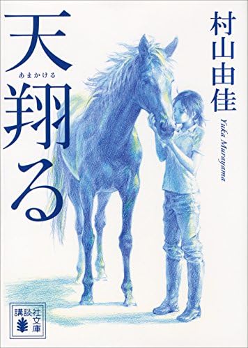 天翔る (講談社文庫)