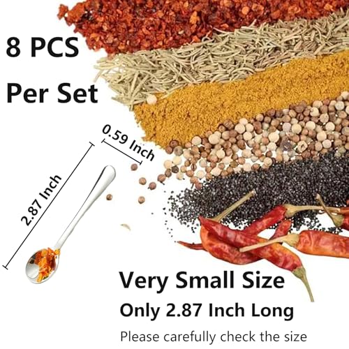 8 PCS Tiny Stainless Steel Spoons for Spices Jars, Mini Size 2.87
