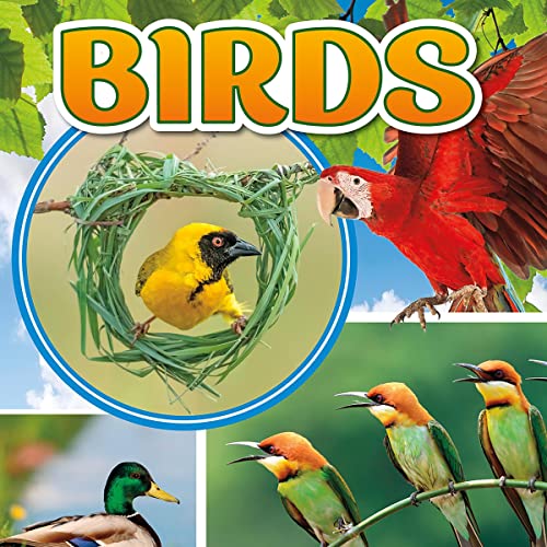 Birds by Pamela Dell episode artwork