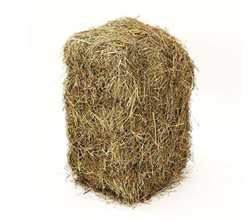 Dehner Ballot de Paille de Foin 1 x 10 kg