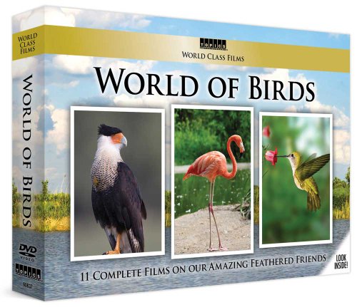 World Class Films: World Of Birds