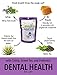 In Clover Smile Daily Dental Health Soft Chews for Cats, Support Healthy Teeth and Fresh Tongue with Catnip and Green Tea, Prebiotics, and Chlorophyll for Fresh Breath, 10.5 oz