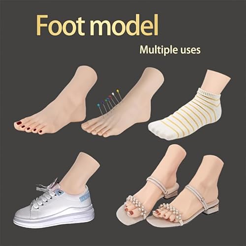 1 Stück Anatomisches Fußmodell - Realistisches menschliches Fußskelett aus Harz mit separaten Zehen, Knochen, Knöchel, Sockendarstellung, ideal für Fußschmuck, Zehennagelpflaster Praxis (Rechts)