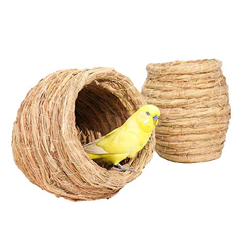 Nichoir à oiseaux extérieur en fibre naturelle pour un jardin vivant
