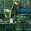 AcuRite 01089M Rain Gauge with Thermometer & Humidity