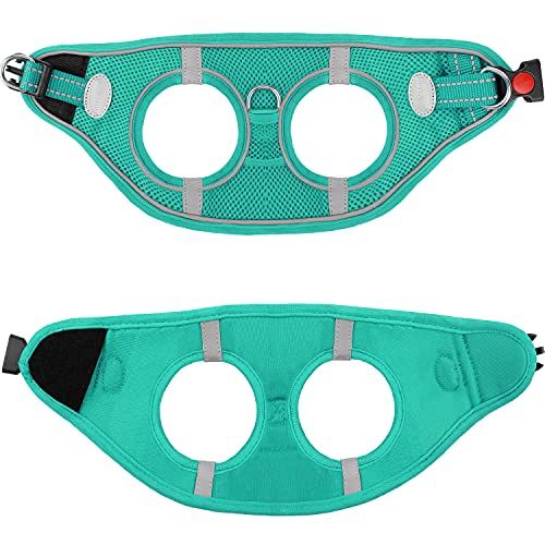 Joytale Step in Dog Harness,12 Colors,Breathable Mesh Vest Harness,Reflective Soft Padded Harnesses for Small and Medium… - Image 6