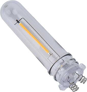 Yongjia Solar Floor Light Bulbs - Solar Garden & Outdoor Lights - Warm White Size B