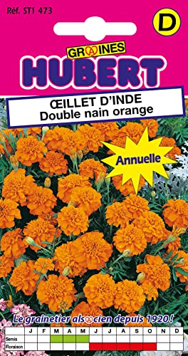 Graines d'Oeillet d'Inde Double Nain Orange - 1,5 grammes