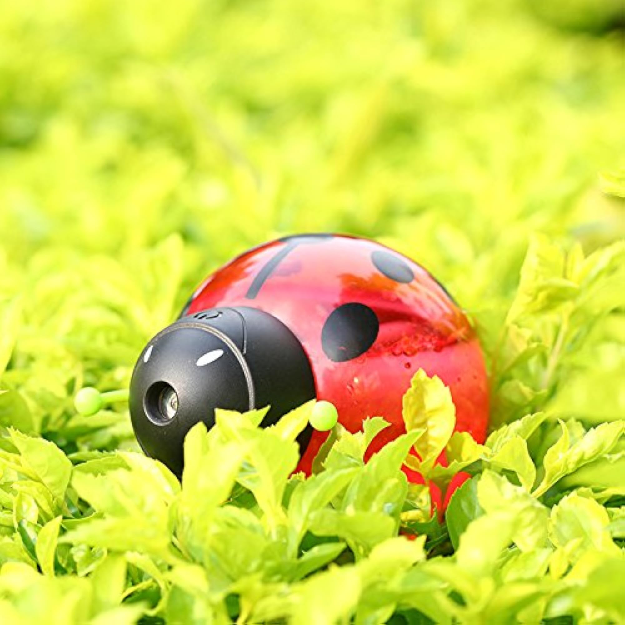 Beetle-Shaped Ultrasonic LED Humidifier