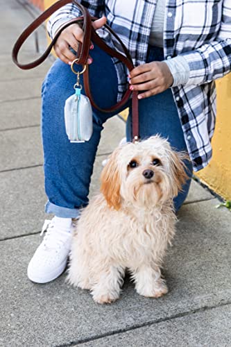 Image of Pearhead Dog Poop Bag Holder, Zipper Closure and Clip On Leash Attachment, Perfect Pet Accessory for the Doggie Park, Walks, Camping, and General Travel, Includes 20 Waste Bags, Gray and Blue