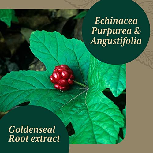 Gaia Pro Echinacea Goldenseal - Supports Immune & Lung Health - With Echinacea, Angustifolia, Echinacea Purpurea, Goldenseal & St. John’s Wort - 60 Vegan Liquid Phyto-Capsules (30 Servings) #TOP2