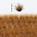 BrickBounty 104 Pcs Static Grass Flock, 0.315" Diorama Grass for DIY Miniature Model Scenery, War Gaming & Railroad Landscapes, Ready-to-Use Miniature Landscape Ornament (Humus Dark Brown)
