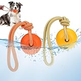 PUPTECK Dog Pool Floating Toys - 2 Pack Fetch Balls on a Rope Toys for Medium Large Dogs, EVA Durable Rubber Water Pet Interactive Toys, for Summer Beach Outdoor Throw Training Retrieving Play