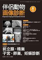 Amazon.co.jp: 小嶋 佳彦: 本