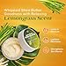 RA COSMETICS Whipped Shea Butter Lemongrass - 100% Pure and Natural African Shea Butter - Ultimate Handcrafted Moisturizer with Essential Vitamins for Radiant Skin and Luscious Hair - 6oz Jar