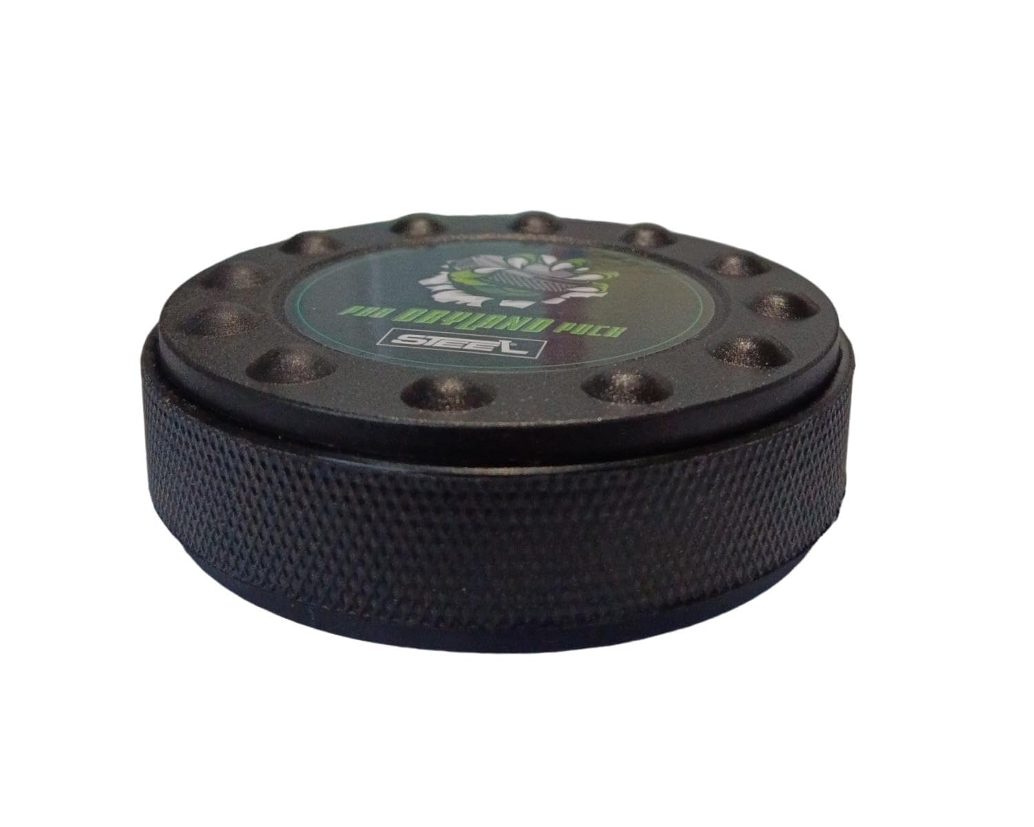 STEEL Puck Dryland Trockentraining