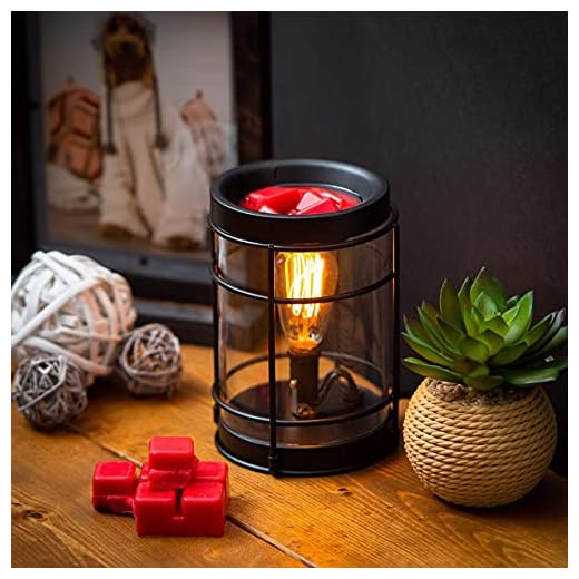 Edison Bulb Electric Candle Warmer with Timer | Plug in Fragrance Warmer for Scented Wax Melts, Cubes, Tarts | Air Freshener Set for Rustic Home Décor, Office, Gifts