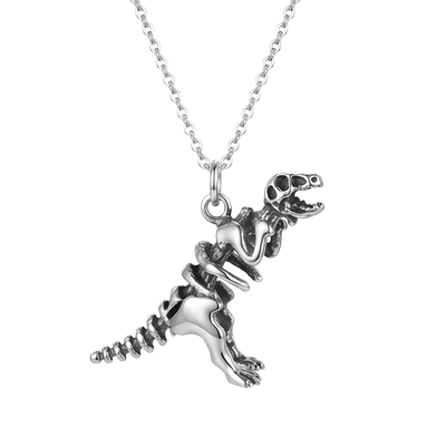 Dinosaur Skeleton Pendant Necklace Stainless Steel 18 Inch Cable Chain Silver Tone T-Rex Fossil Jewelry Gift Mens Accessory.|RR_CSN_0072-image-16