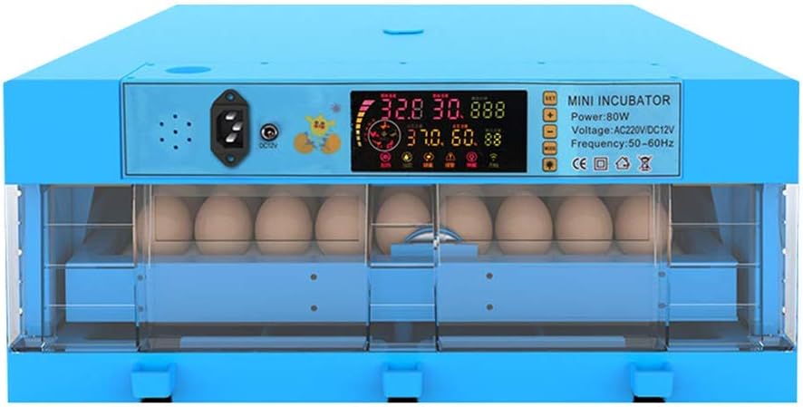 ZHONGXIN Eggs Incubator, 64/128/192/256 Eggs Transparent Hatching Machine Automatic Intelligent Dual Power Chicken Duck Hatcher, Blue (53x53x28cm)