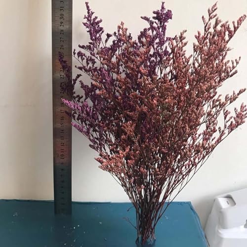 Ramo de flores secas naturales para decoración del hogar miniatura 4