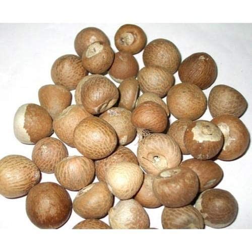 Pmw ® Whole Supari Areca Betel Nut From India Loose Packed (500 Grams) Amazon.in Grocery