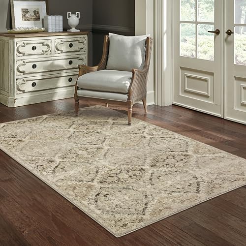 Oriental Weavers Florence Area Rug - 270H6-5'3" x 7'6" - in Ivory/Grey - Vintage Inspired, Stain Resistant, Family and Pet Friendly, Bedroom, Office Rug